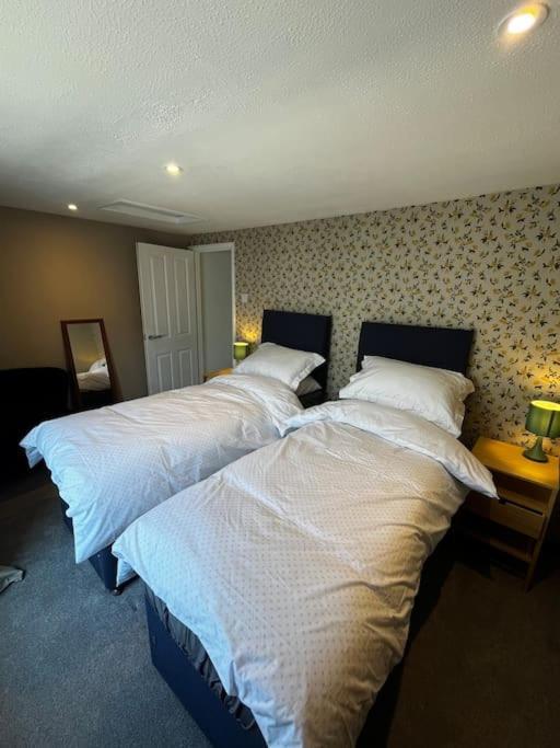 Lento Apartment ウィンチェスター エクステリア 写真